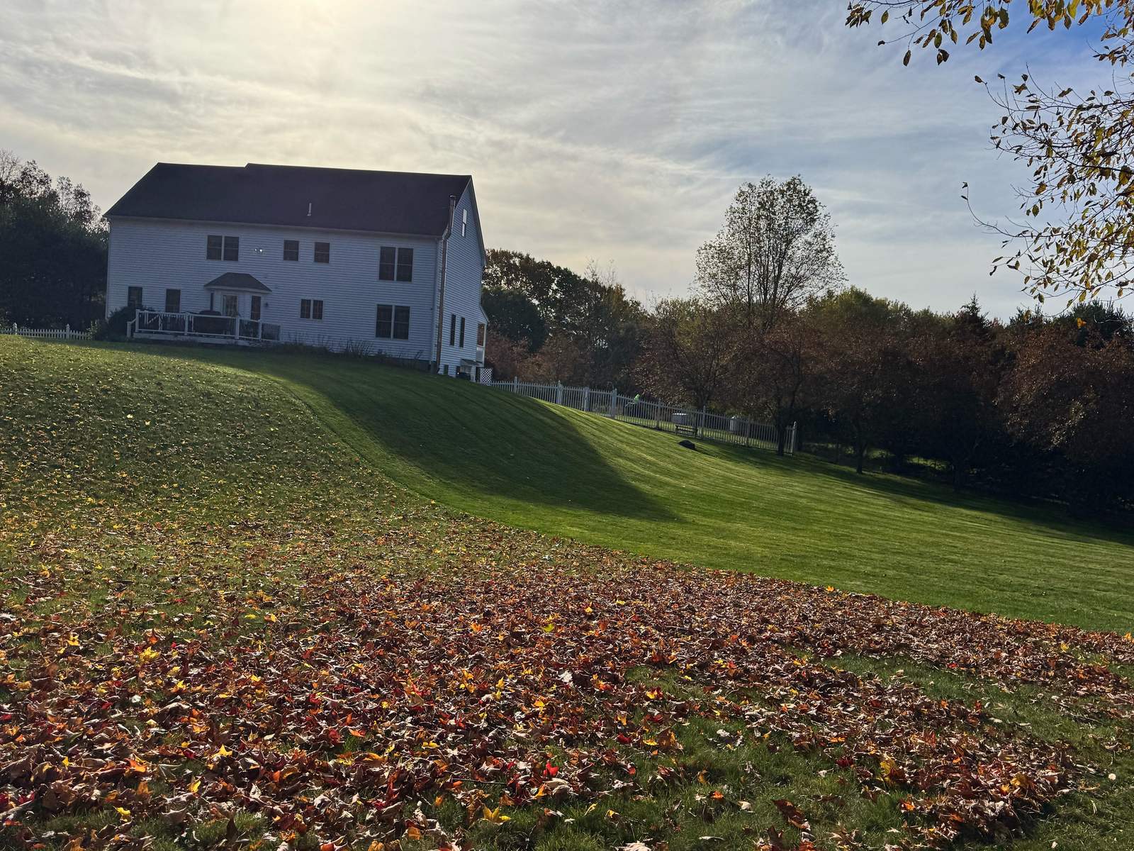 Fall cleanup in progress by MLC: a white colonial home above a freshly striped green hillside lawn, with a field of red and orange fallen leaves in the foreground and autumn trees behind