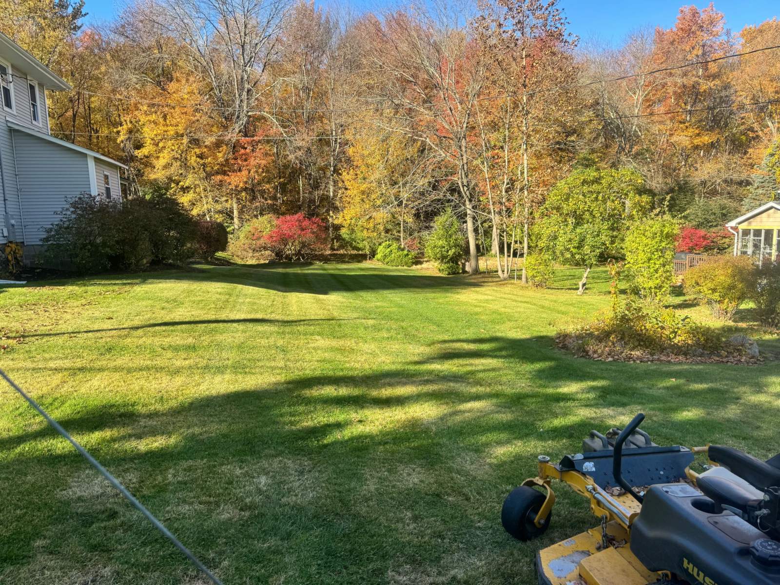 After: the same backyard cleared of leaves and freshly mowed in clean stripes by MLC