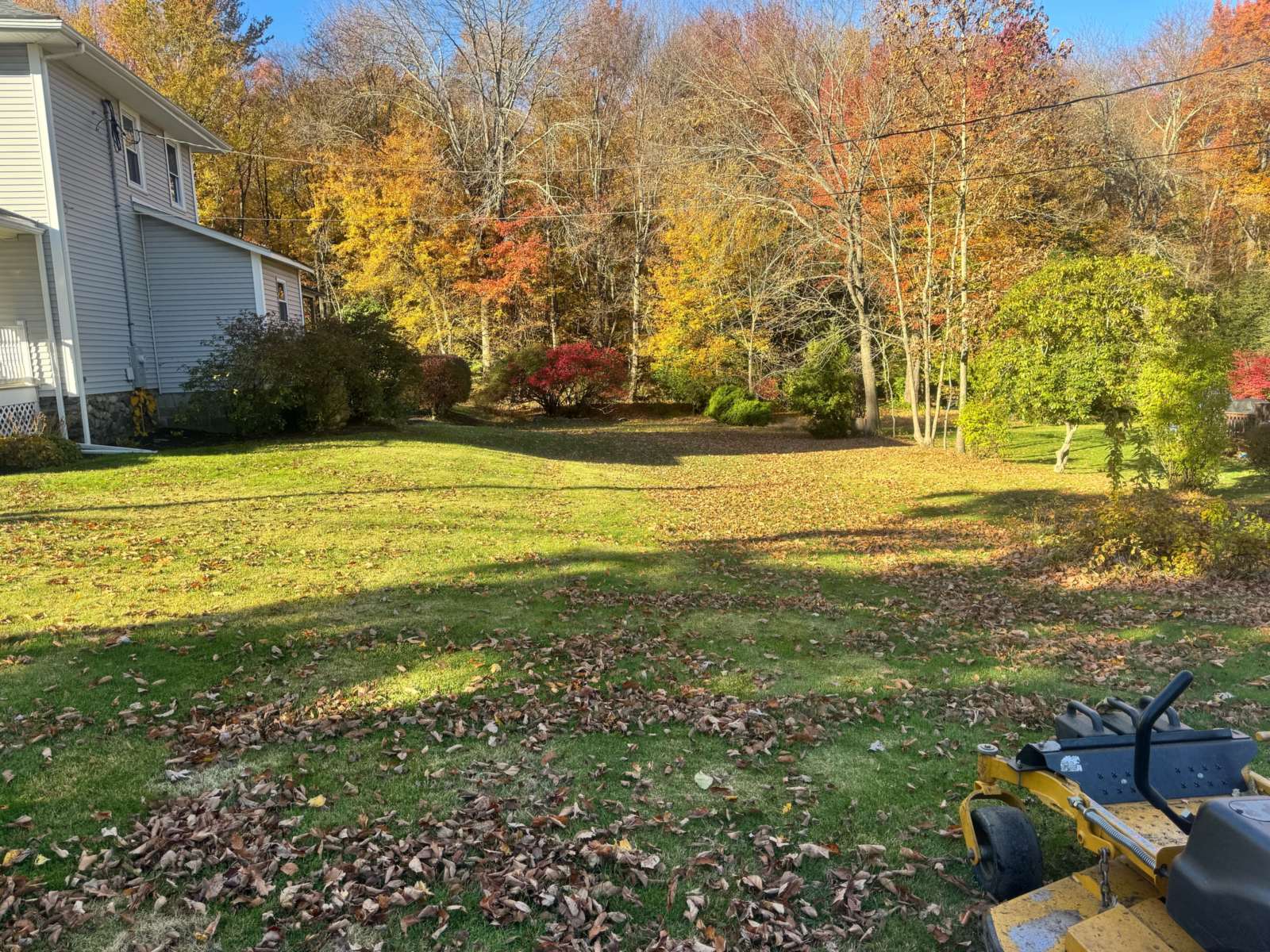 Before: a backyard lawn scattered with fallen leaves beside a gray house, with autumn trees behind