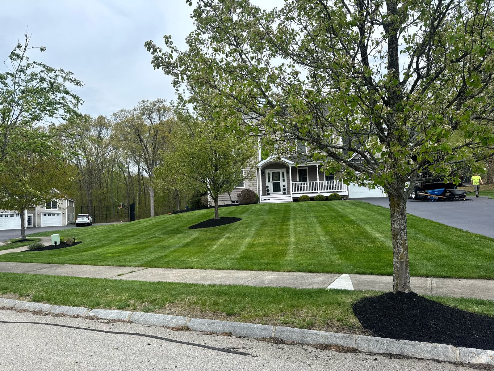 Front lawn with fresh black mulch rings around the trees